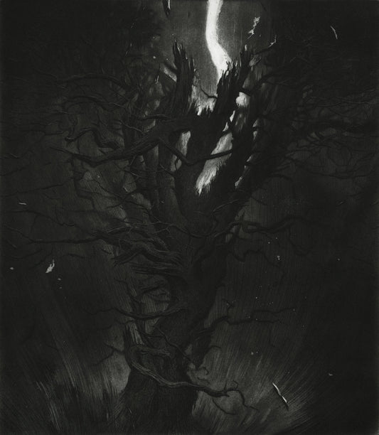 'Old Pine' by Inken Stabell