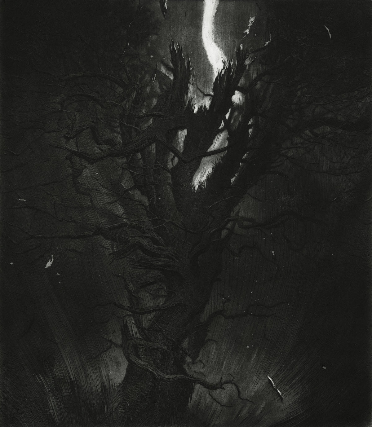 The Old Pine