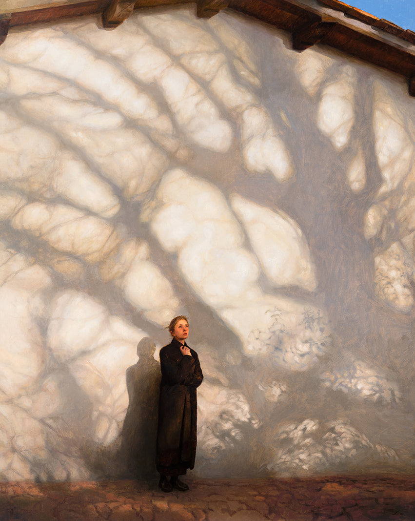 Among the Shadows