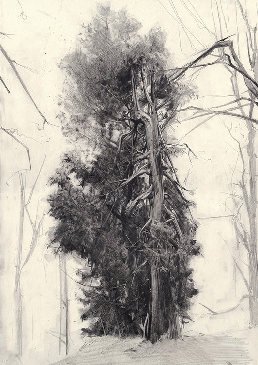 The Three Sisters III by Jessica Taylor