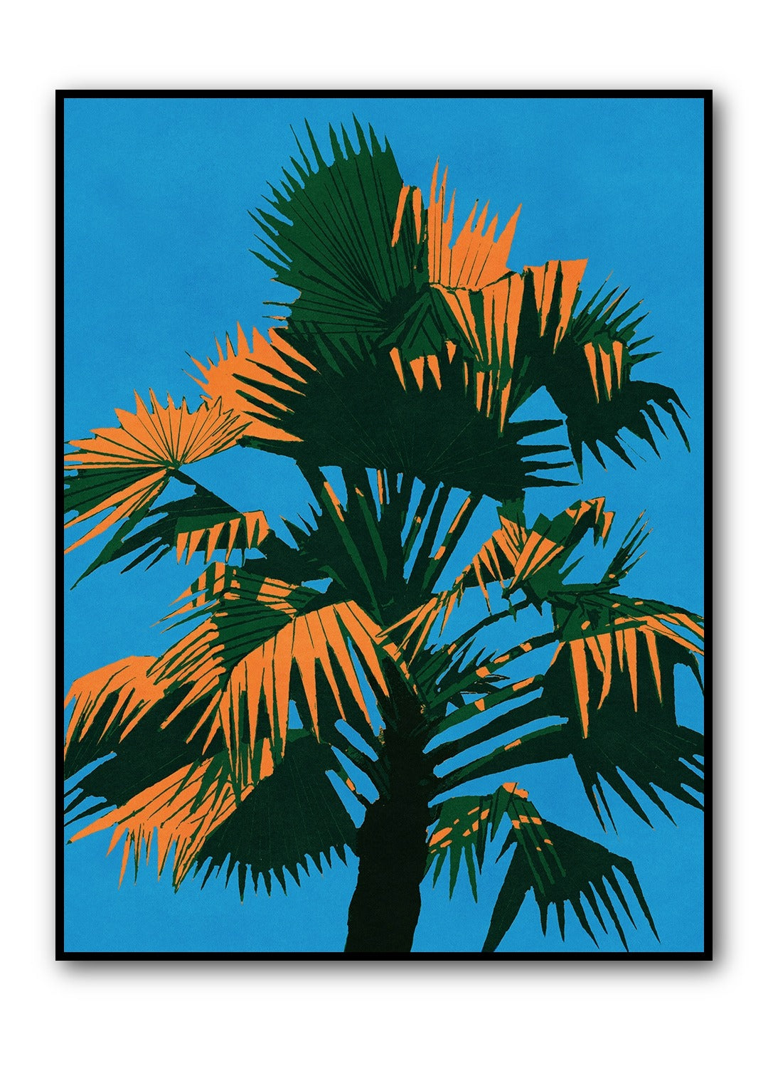 Palm Tree