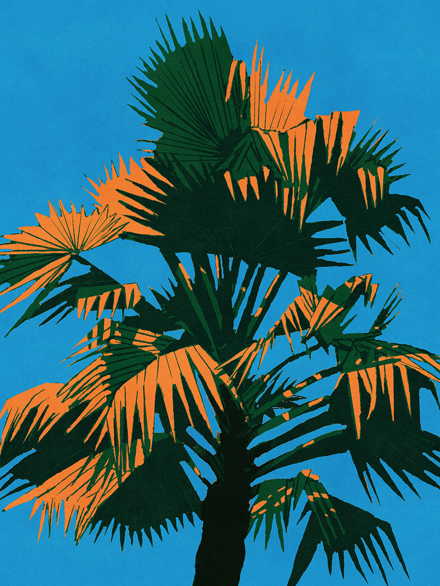 Palm Tree